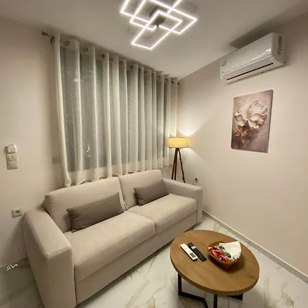 Andry's Living 5 By 8essentially *